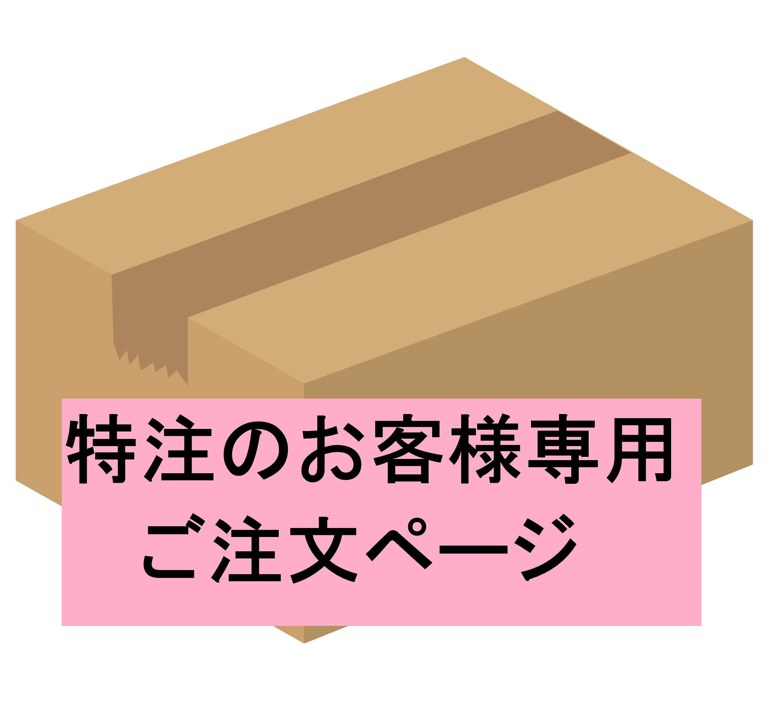 特注【 藤代様専用】ご注文ページ