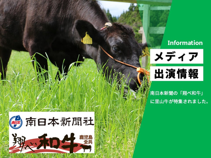 南日本新聞「翔べ和牛」コーナーに里山牛が特集されました