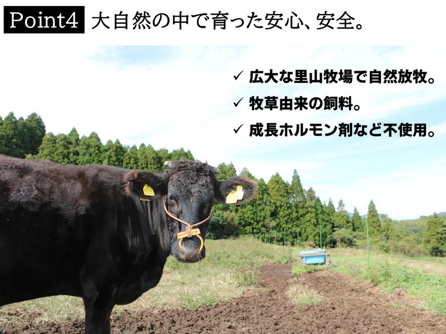 【ヘルシー和牛ギフト】すき焼き用ロース400g